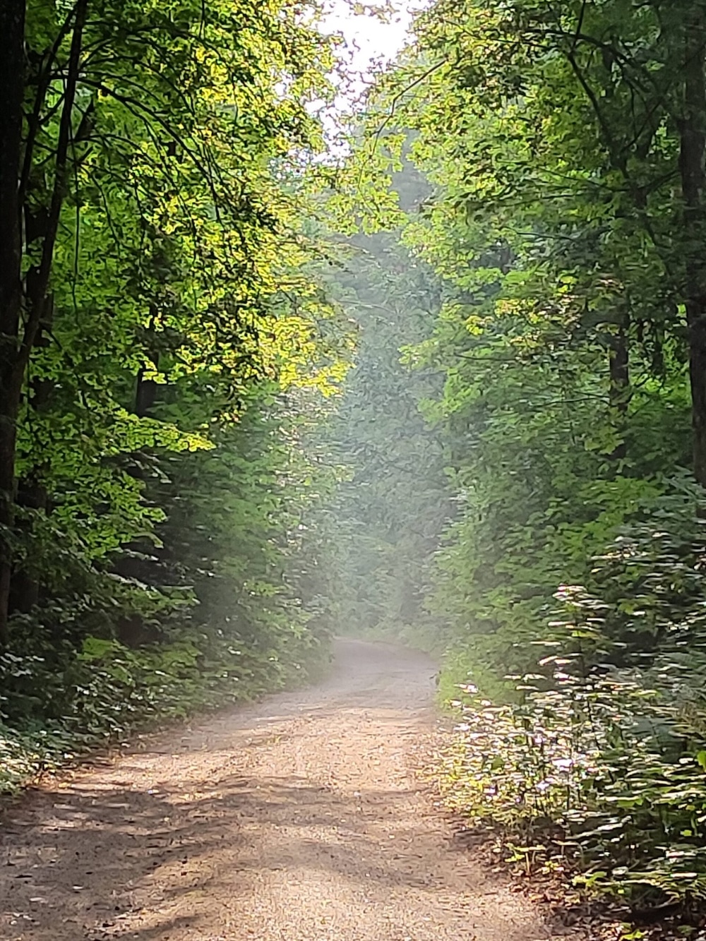 PIERWSZA PREFACJA ADWENTOWA